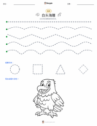 白头海雕 可打印工作表预览