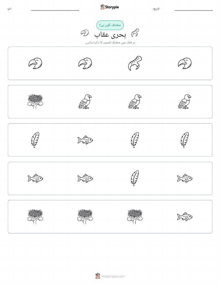 عجیب ایک