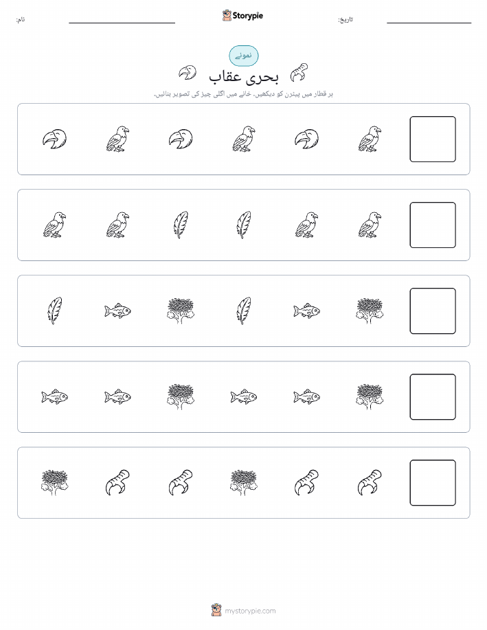 پیٹرن