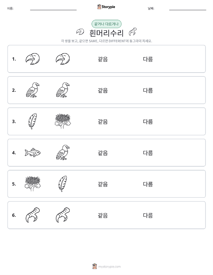 같은 것 또는 다른 것