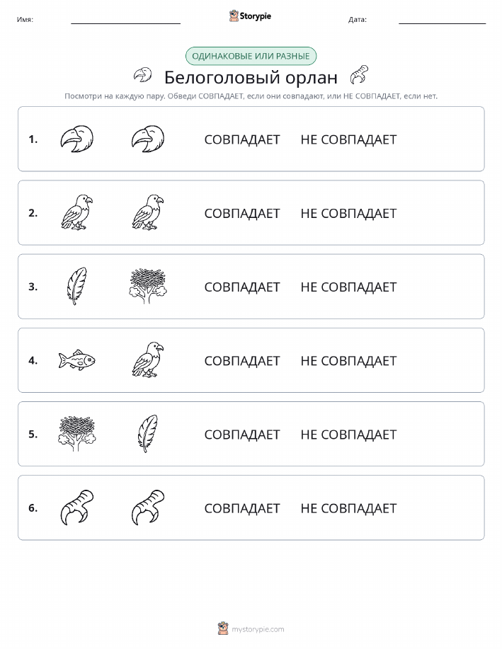 Одинаковое или разное