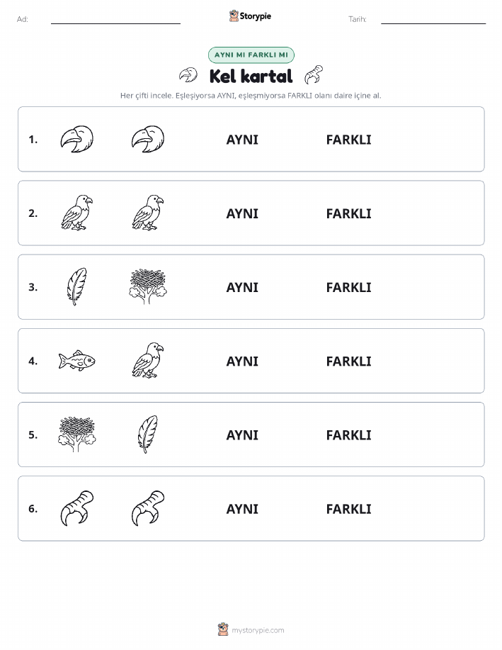 Aynı mı Farklı mı