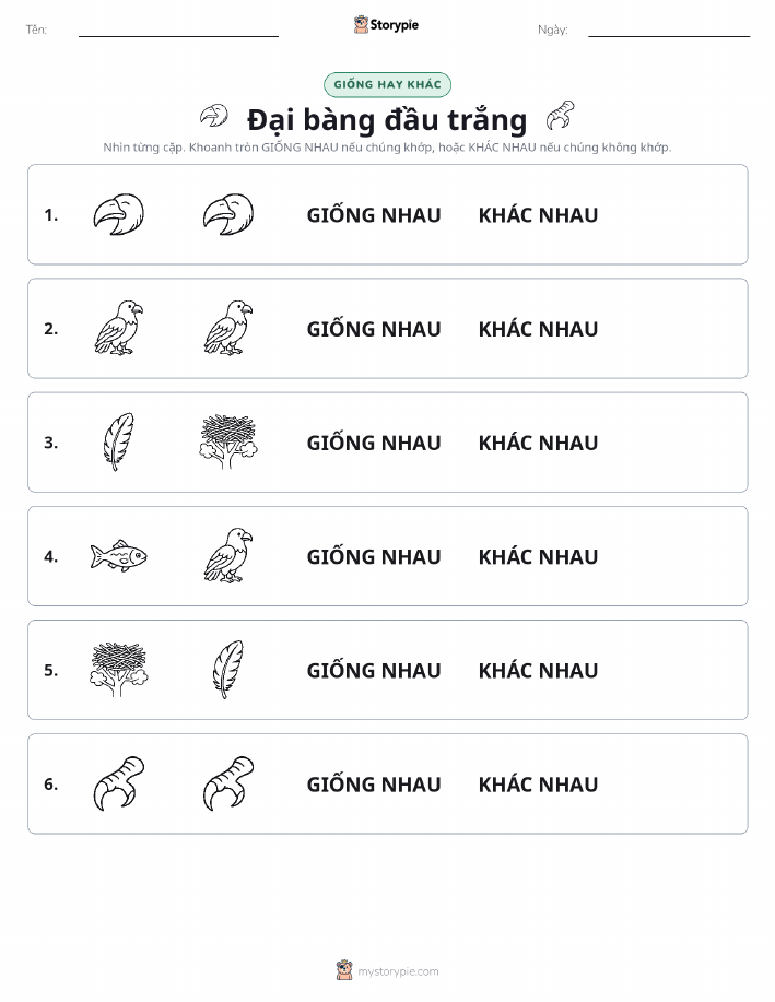 Giống Hay Khác