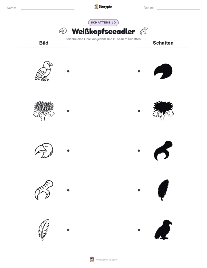 Schattenmatch