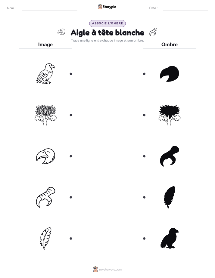 Correspondance d'Ombres