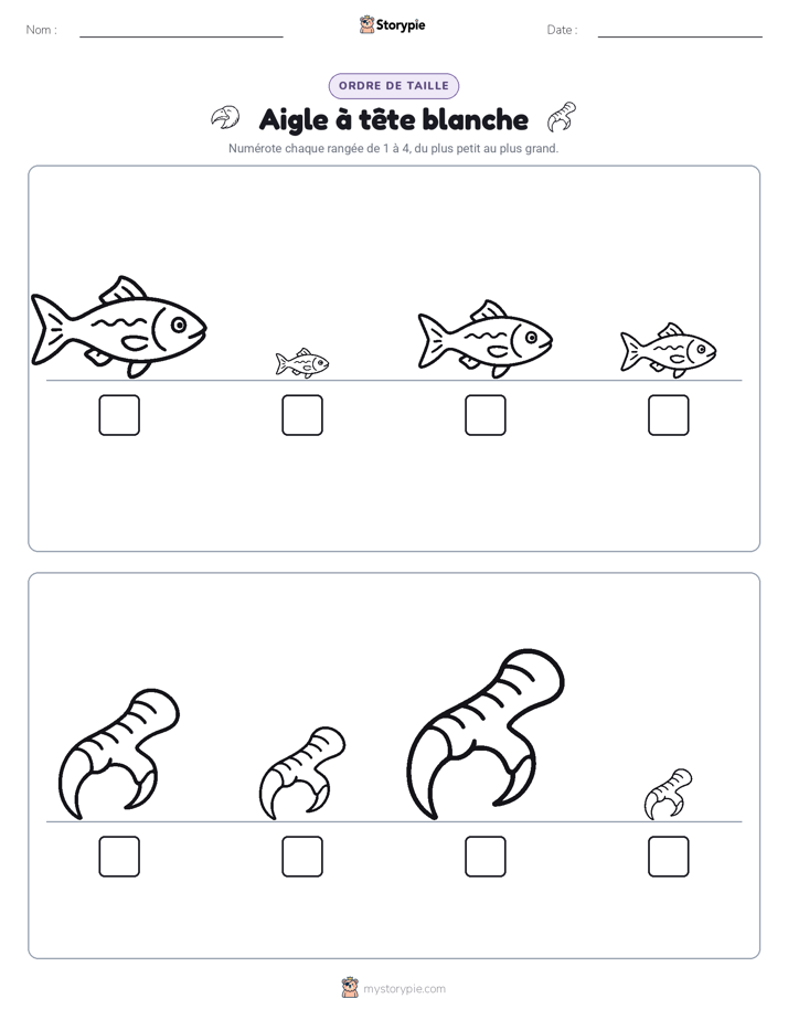 Ordre de Taille
