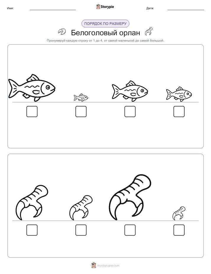Размеры в порядке