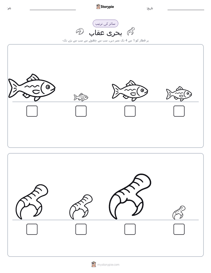 سائز کی ترتیب