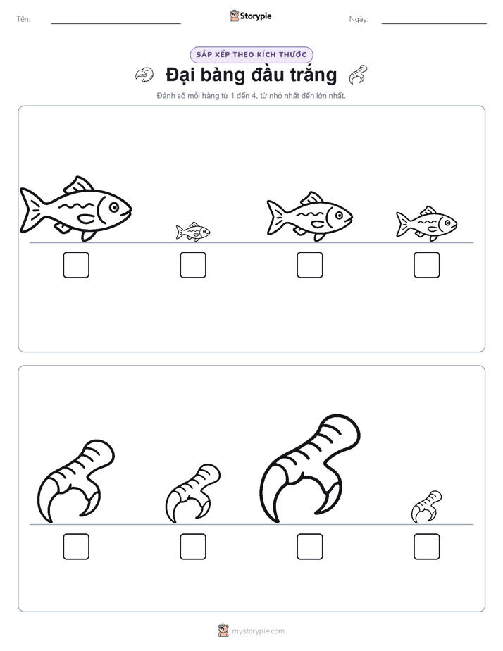 Thứ Tự Kích Thước