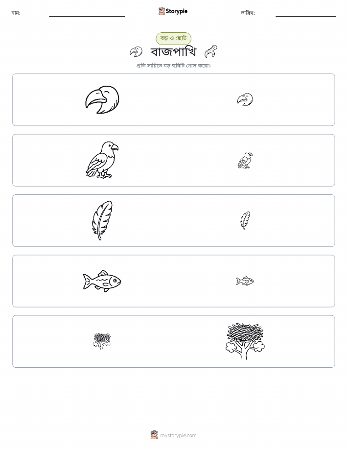 সাজানো