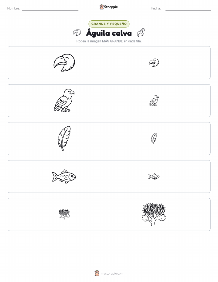 Clasificación