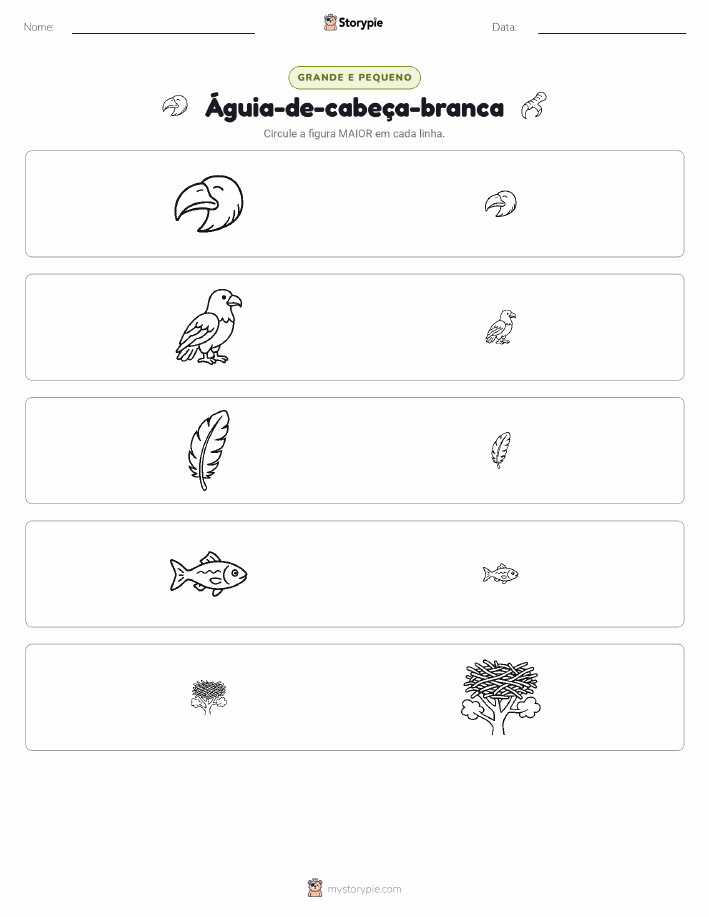 Classificação