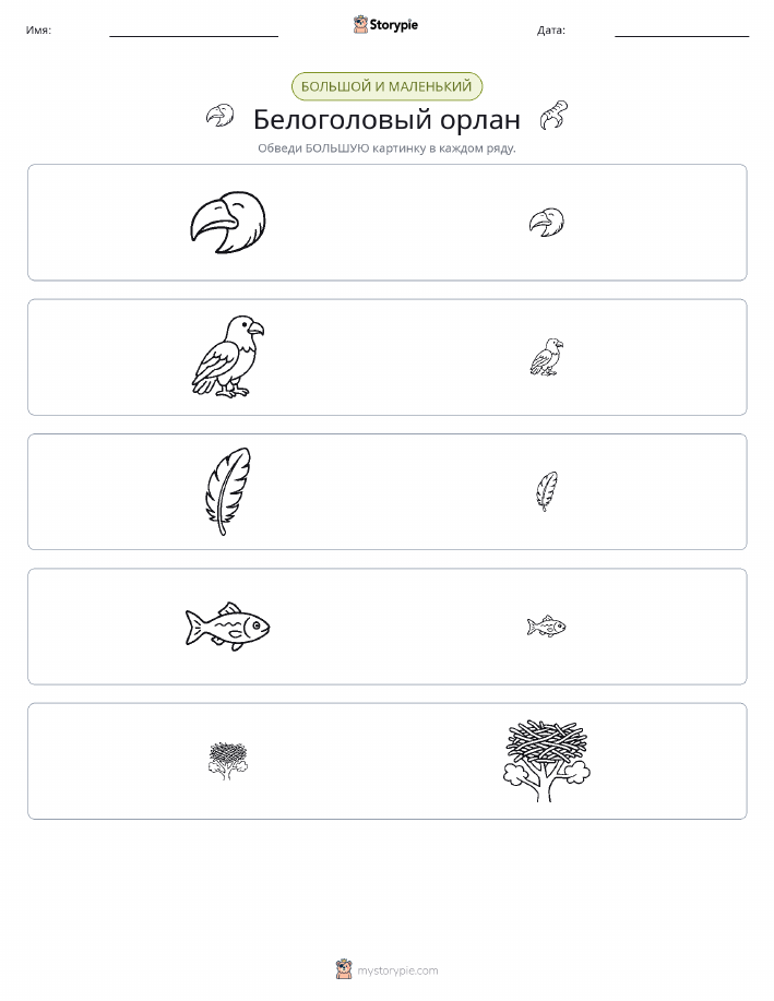 Сортировка