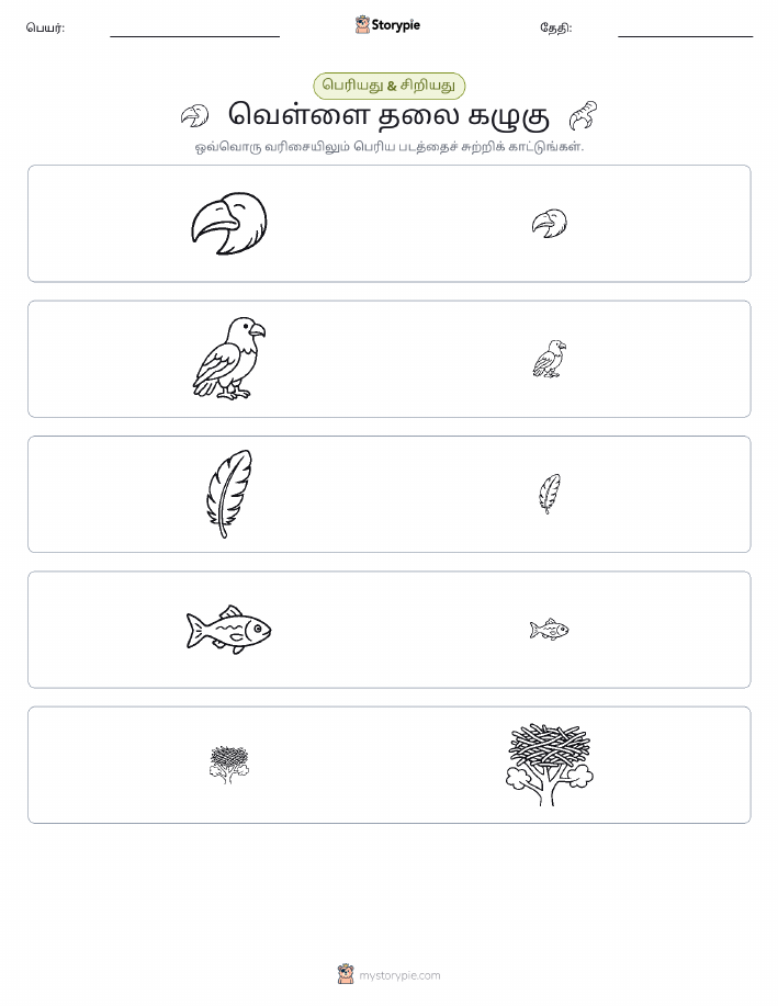 வகைப்படுத்தல்
