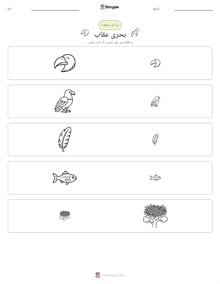 ترتیب دینا