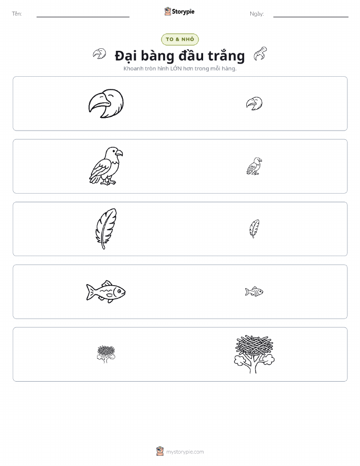 Phân Loại