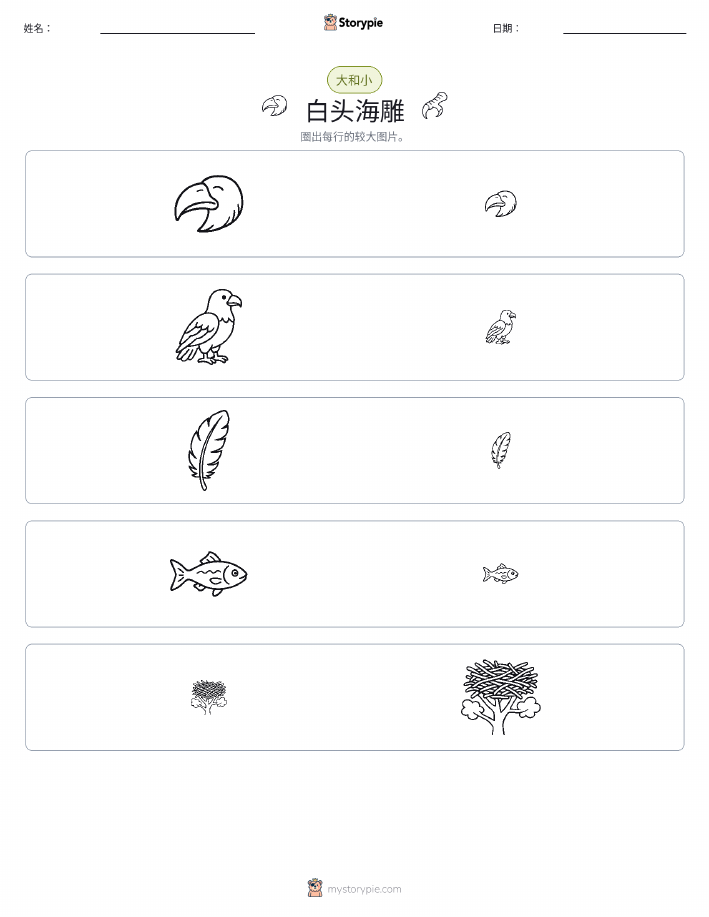 分类