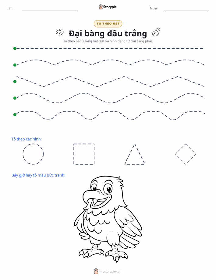 Vẽ Theo Đường