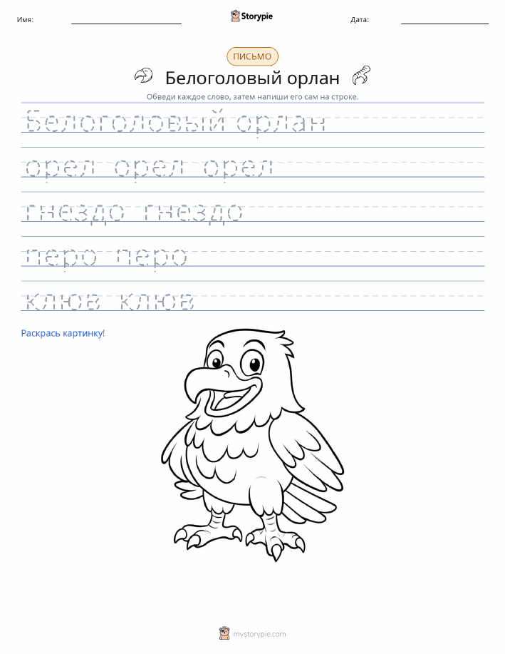 Практика письма