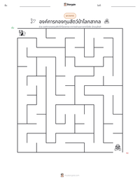 องค์การกองทุนสัตว์ป่าโลกสากล ตัวอย่างแบบฝึกหัดที่พิมพ์ได้