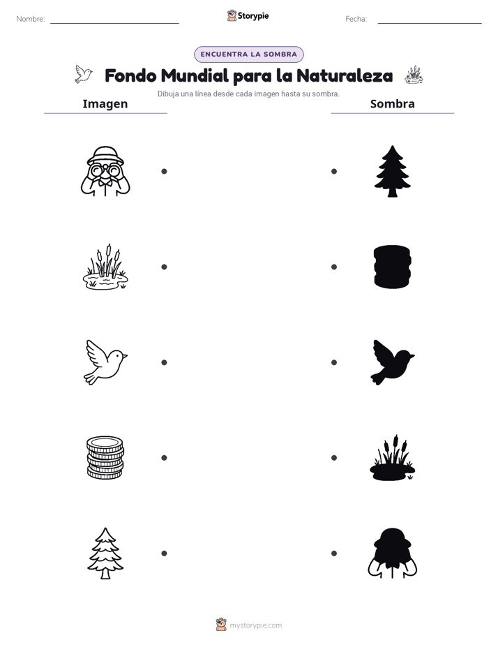 Coincidencia de Sombras