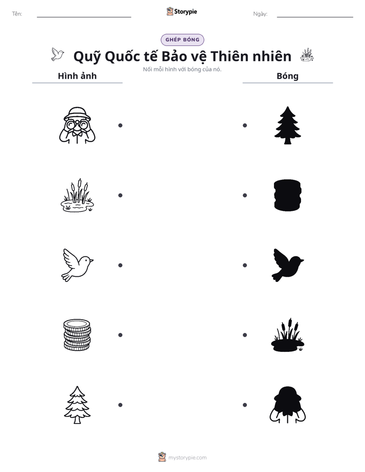 Ghép Hình Bóng