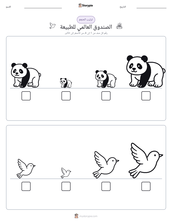 ترتيب الحجم