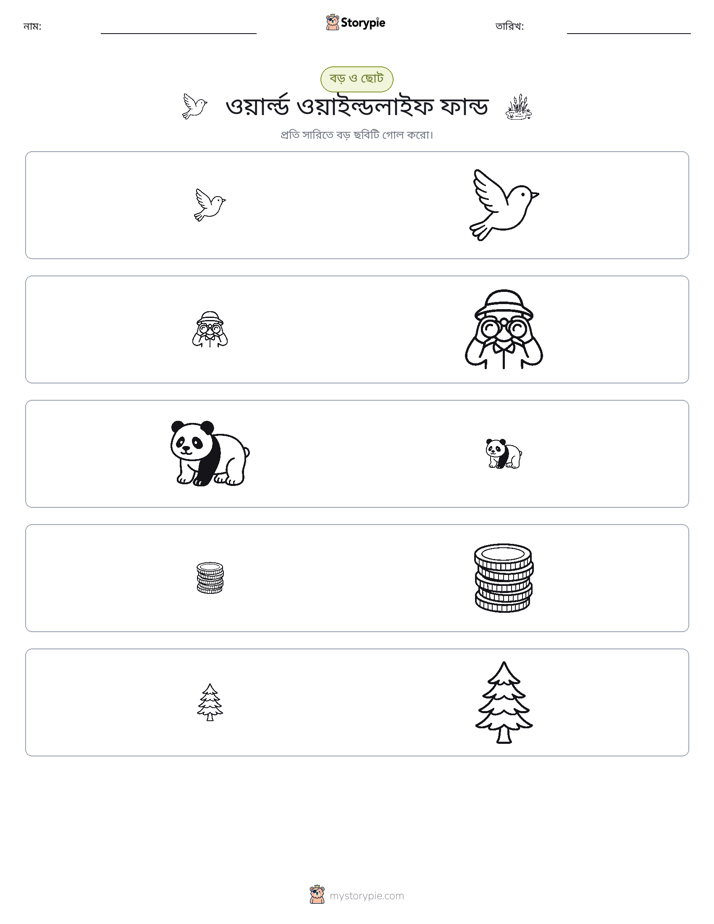 সাজানো