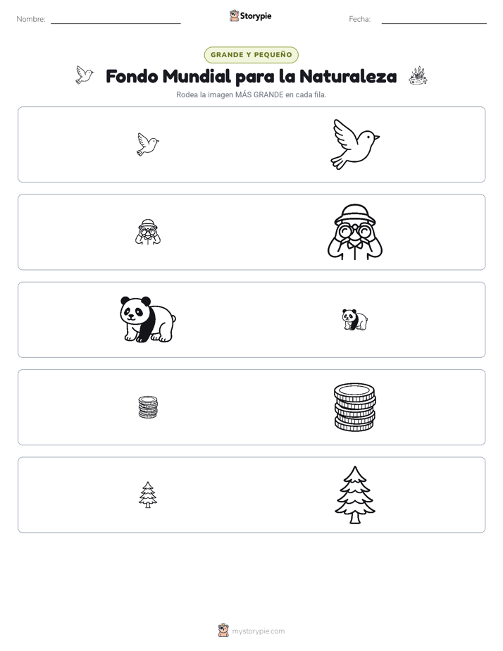 Clasificación