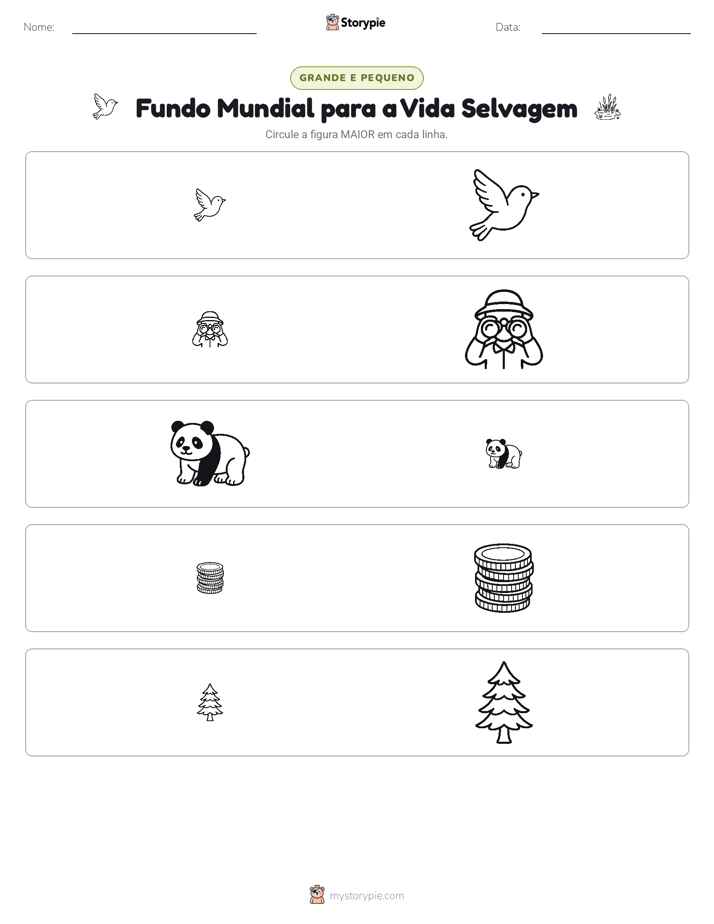Classificação