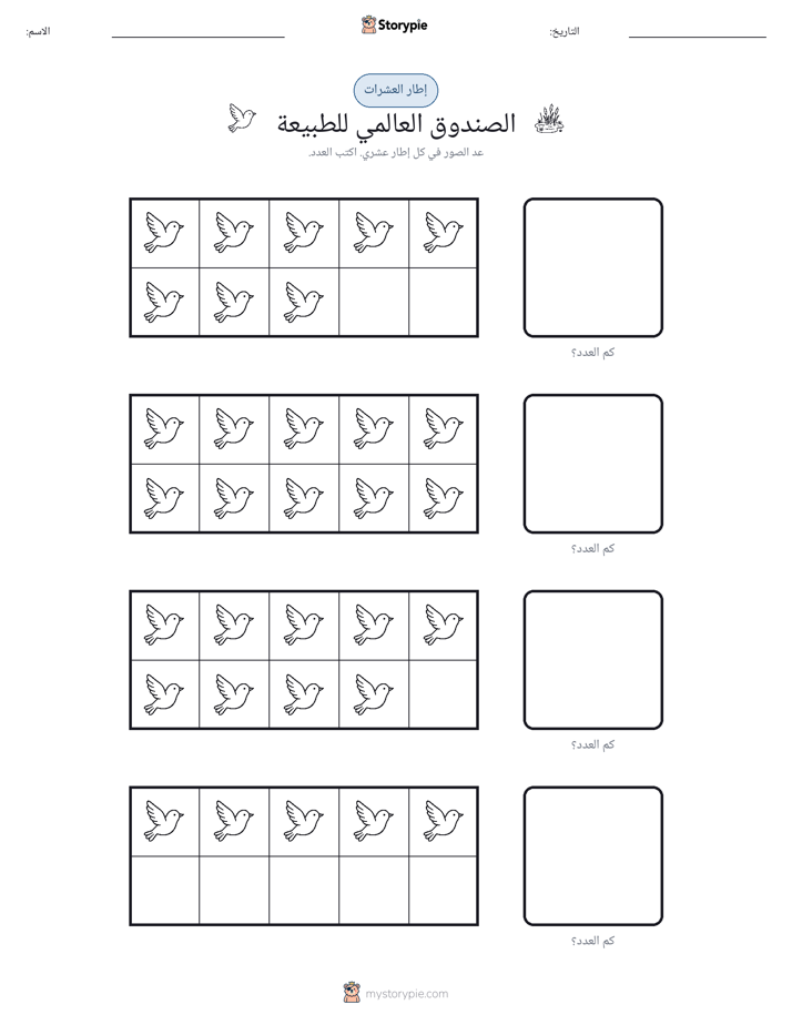 إطار العشرة