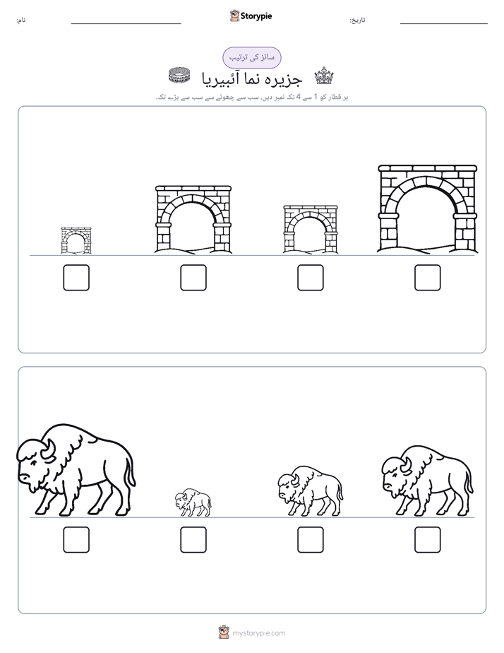 سائز کی ترتیب