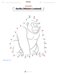 Gorilla (Western Lowland) printable worksheet preview