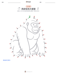 大猩猩（西部低地） 可打印工作表预览
