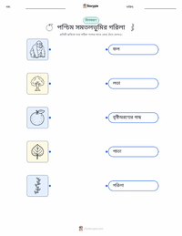 গরিলা (পশ্চিম নিম্নভূমির) মুদ্রণযোগ্য কাজের পৃষ্ঠা শিশুদের জন্য