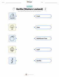 Gorilla (Western Lowland) printable worksheet for kids