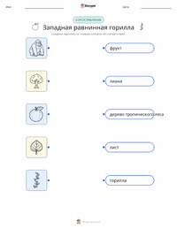 Горилла (Западная равнинная) распечатываемый рабочий лист для детей
