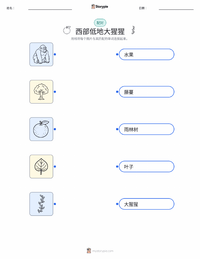 大猩猩（西部低地） 可打印工作表，适合儿童