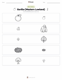 Gorilla (Western Lowland) printable worksheet preview