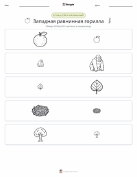 Горилла (Западная равнинная) предварительный просмотр распечатываемого рабочего листа