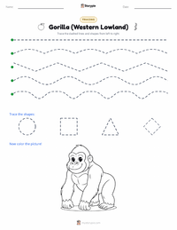 Gorilla (Western Lowland) printable worksheet preview