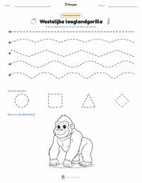 Gorilla (Westelijke laaglandgorilla) afdrukbare werkblad voorbeeld