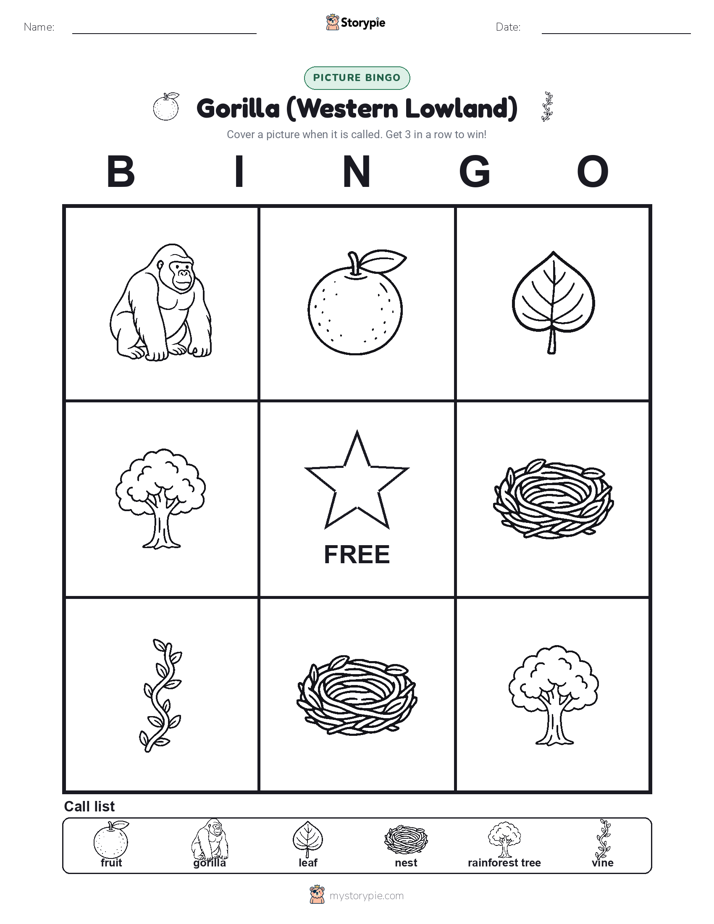 Picture Bingo