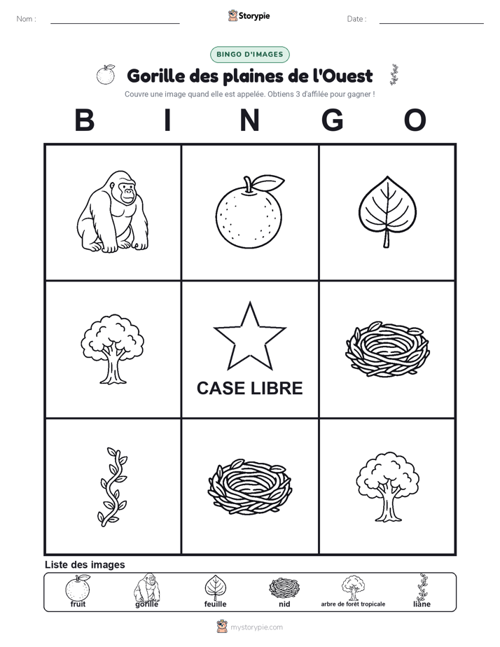 Bingo d'Images
