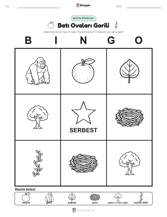 Resim Bingo