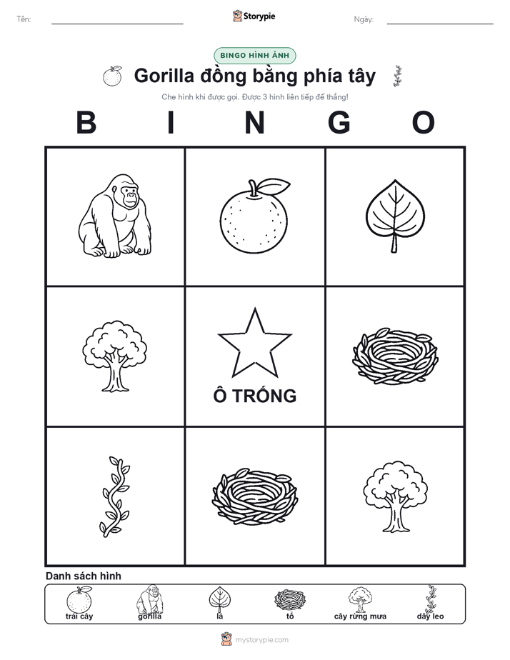 Bingo Hình Ảnh