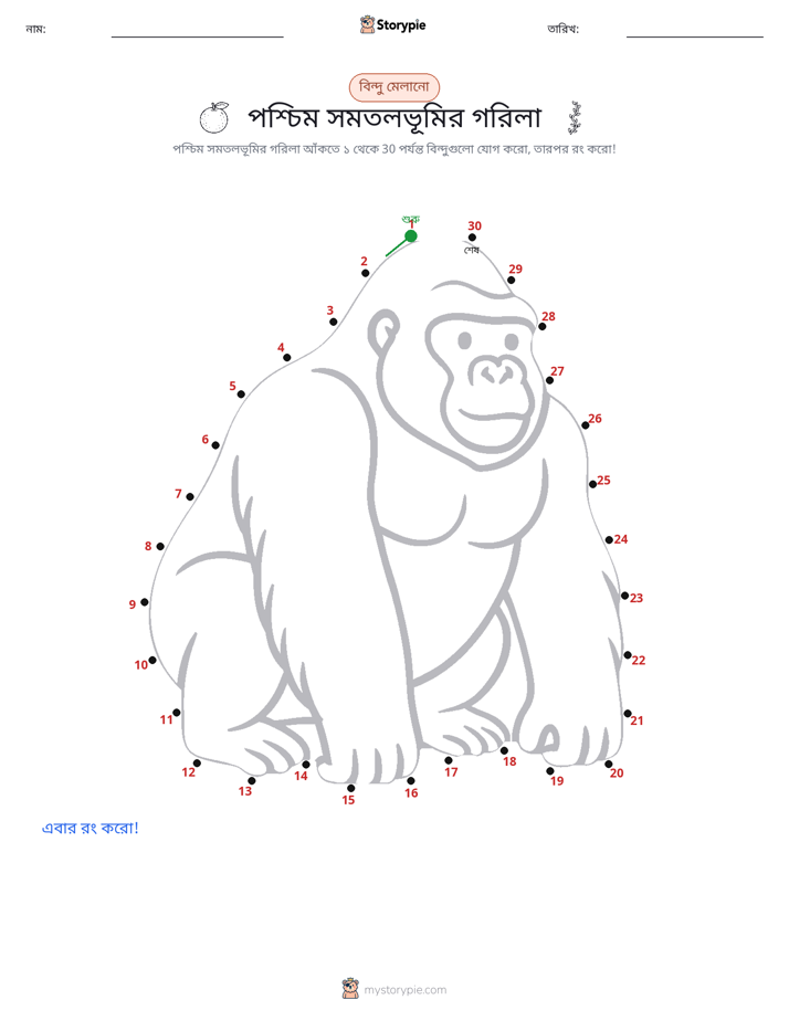 ডট থেকে ডট