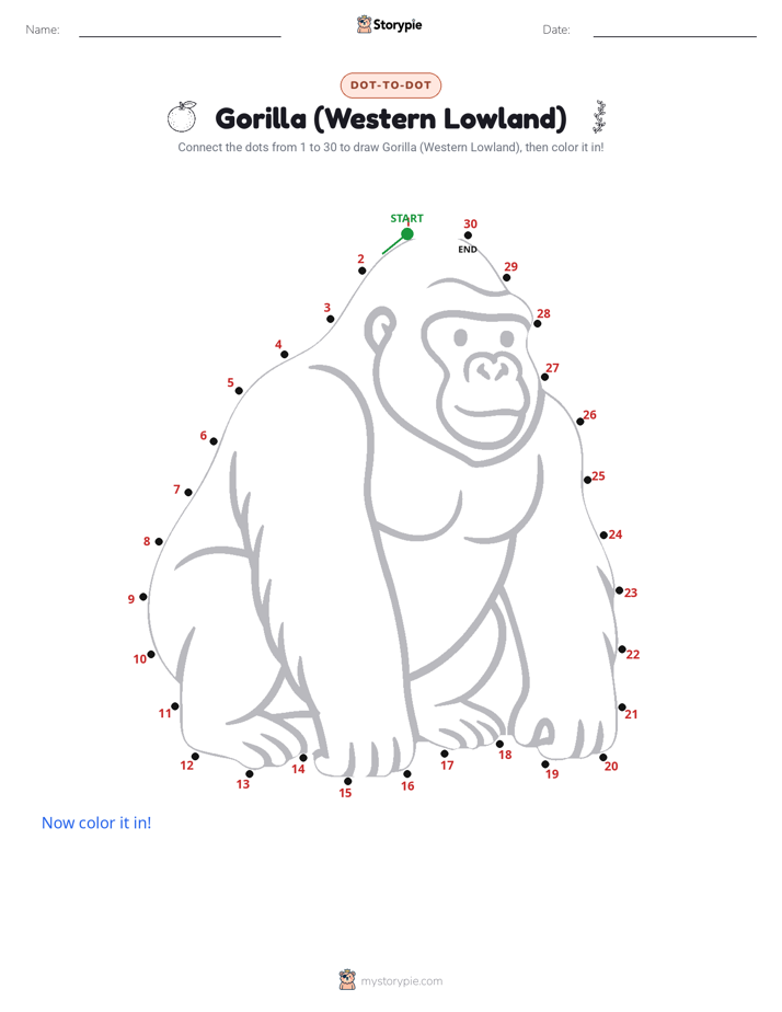 Dot to Dot