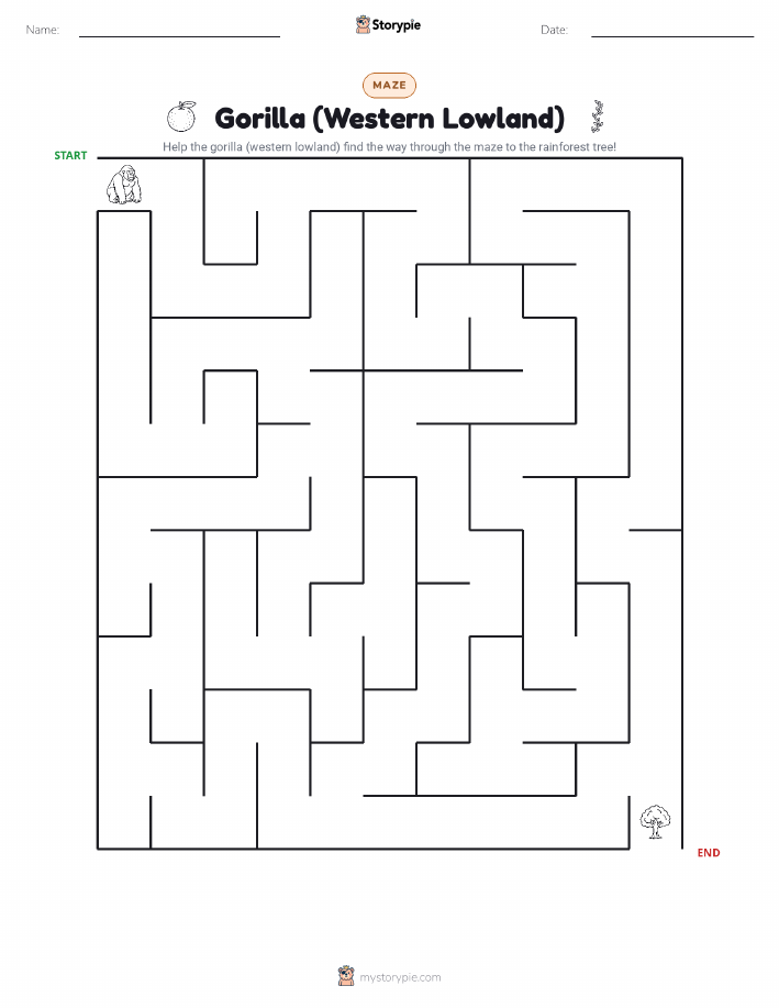 Maze