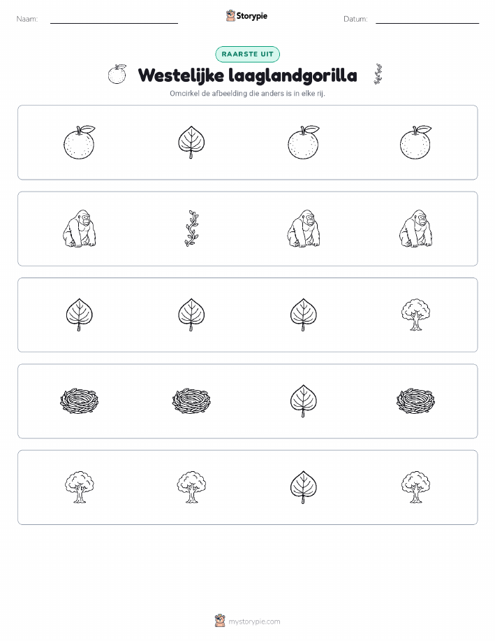 Vreemde Tussenuit